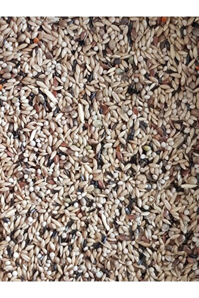 Vivid Kanarya Yemi Karışık 500 Gram