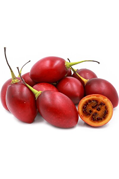 Tohum Dünyası 10 Adet Tamarillo Domates Ağacı Tohumu