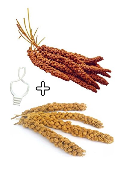 Petistera 150gr Ak Dal Darı & 150gr Kızıl Dal Darı + Tutacak