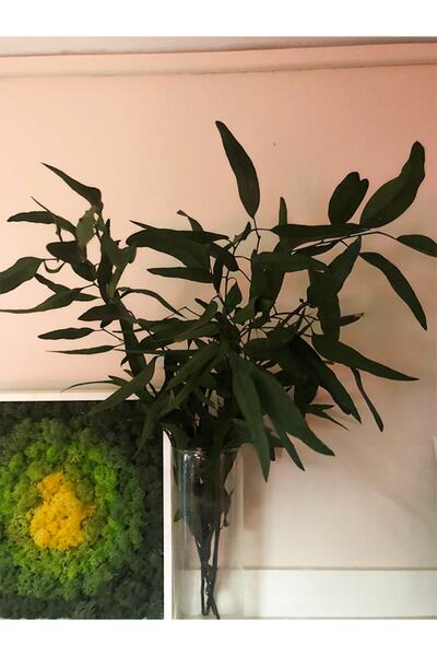 trendpeyzaj Şoklanmış Nikoly Demeti - Yeşil