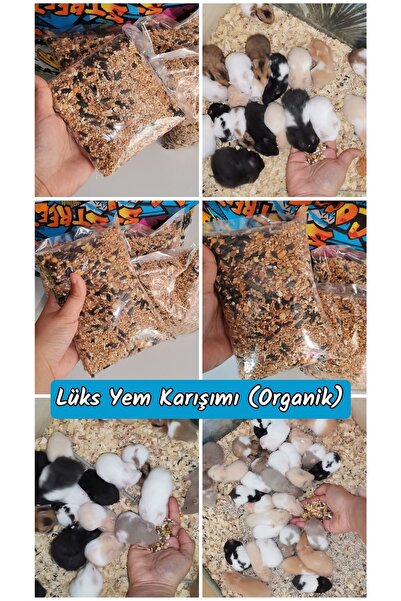 MDİZMİR Hamster Için Lüks Yem Karışımı (ORGANİK) Hamsterlara Özel Yem