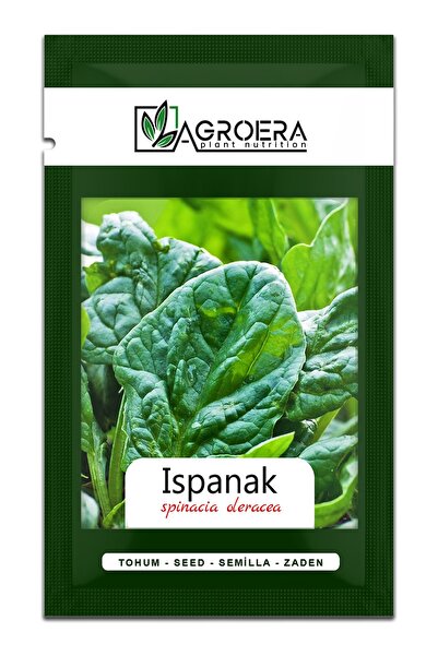 AGROERA Yerli Ispanak Tohumu (GENİŞ YAPRAK) 1000 Adet / 10 Gr.