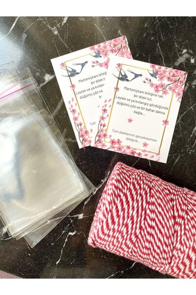 Hayal.kirtasiyesi Marteniçka Bracelet Set (Including 20 Cards, 20 Bags and 50 Meters of Bracelet String) Lucky Bracelet