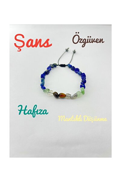 Deniz Doğal Taş نجاح الطالب - شهادة، ثقة في الذاكرة، فرصة التفكير المنطقي