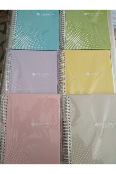 PALEWOO 17 * 24 Pastel Cover 100 YpCheckered Spiral Notebook – 1 Piece Blue