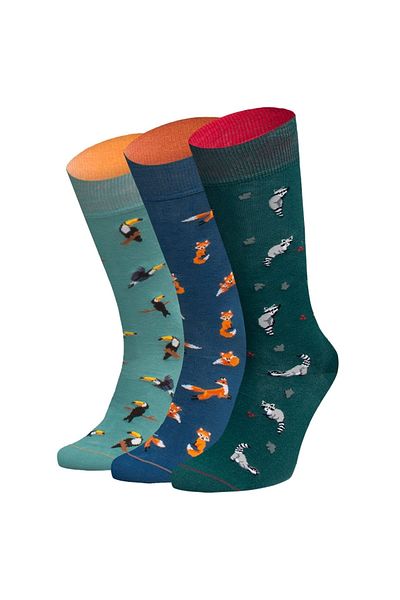 von Jungfeld Socken - Mehrfarbig - 3er-Pack