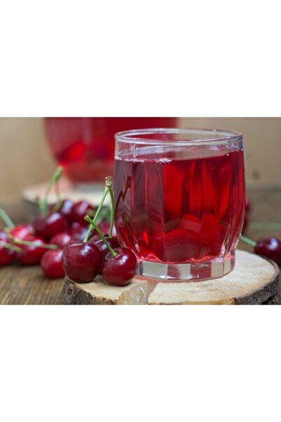 Fidan & Peyzaj Yerli Vişne Fidanı (150 Cm. Boy / 2 Yaş / Açık Kök)