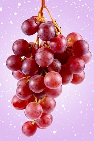 ÇİÇEKFLİX Fide Iri Taneli Pembe Üzüm Açık Kök Dikime Hazır 35-40cm