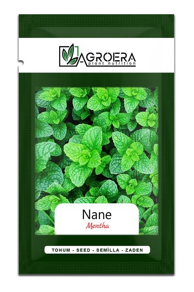 AGROERA Nane (mentha) Çiçek Tohumu 100 Adet