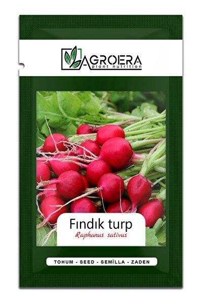 AGROERA Fındık Turp Tohumu 1000 Adet / 10 Gr.