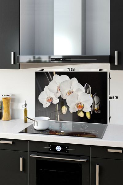 Decorita Protector de spate pentru aragaz din sticla |   Bucătărie Orhidee |   49,5 cm X 76 cm