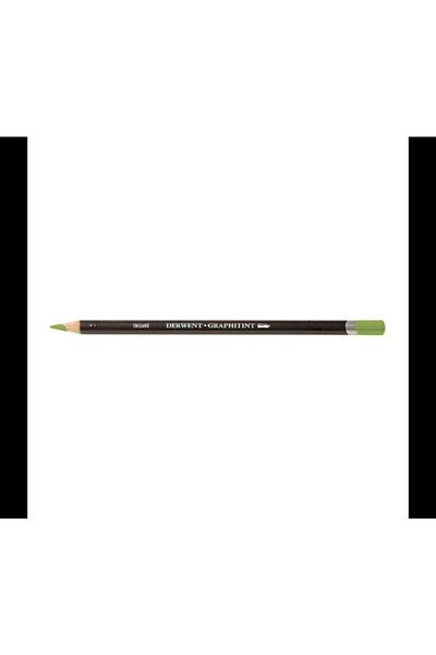 Derwent Meadow 10 Graphitint B Pen