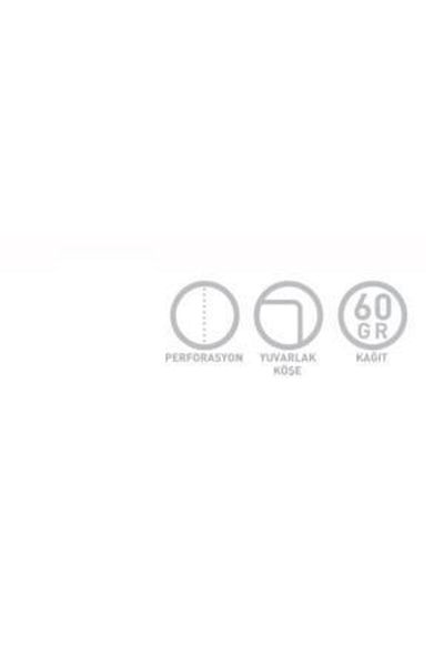 Gıpta دفتر ملاحظات Ataturk A4 Spiral Offset Pp مزود بـ 80 ورقة مخططة (عبوة من 4 قطع) 2601