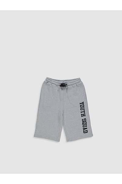 LC Waikiki Shorts