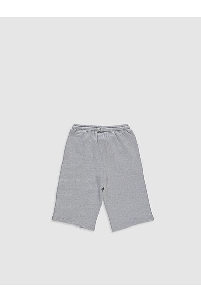 LC Waikiki Shorts