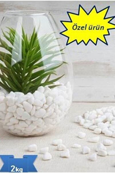 DURALÇİÇEKÇİLİK Dolomit Taşı ,akvaryum Taşı,dekoratif Taş Beyaz 0.5-1cm ,2kg