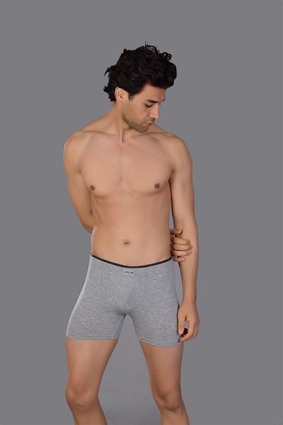 COTBOXER Ανδρικό Grey Boxer - Modal Havlubel