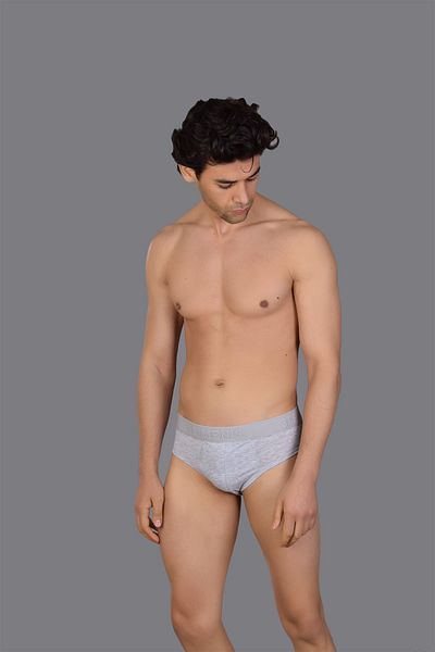 SOLFEJ BOXER Ανδρικό γκρι Solfeggio Cotton Slip