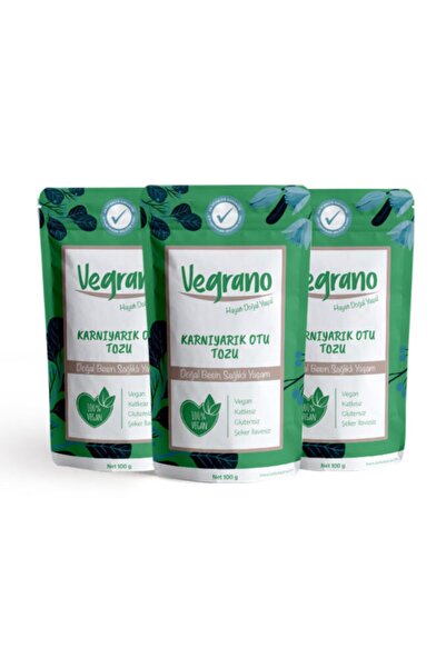 Vegrano Karnıyarık Otu Tozu (psyllium Tozu) 3 x 100 gr