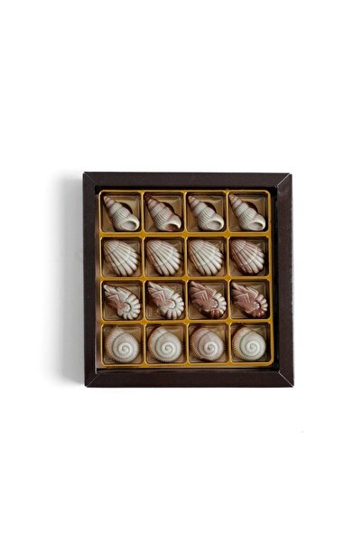 Schocolate Deniz Kabuğu Spesiyal Çikolata Kutu - Viyana