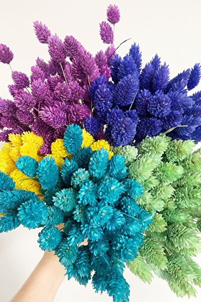 Goya Home Kurutulmuş Mor Kuş Otu Süslük Vazoluk Palaris Çiçeği 30 Dal