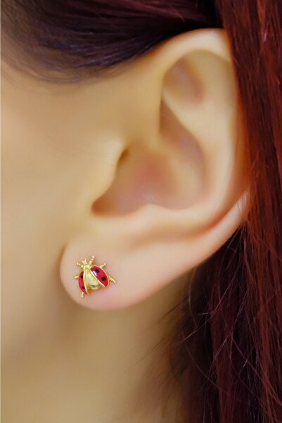 aytekgold Uğur Böceği Küpe 14 Ayar