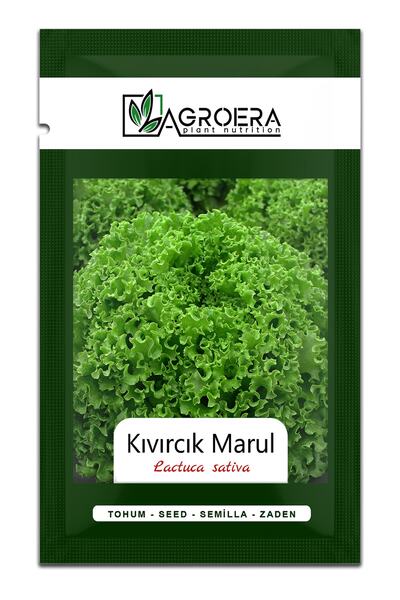 AGROERA Kışlık Kıvırcık Marul Tohumu 8000 Adet / 10 Gr.