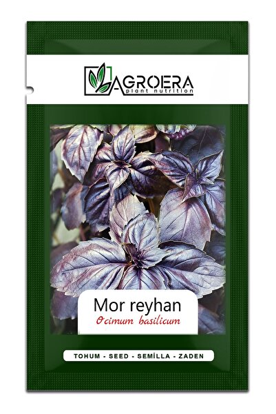AGROERA Mor Fesleğen/reyhan Tohumu 2100 Adet / 3 Gr.