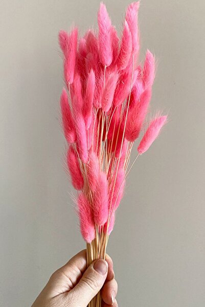 Goya Home Pembe Renkli Kurutulmuş Pamuk Otu, Tavşan Kuyruğu Gelin Buketi Aranjman Çiçeği Lagurus 30 Dal