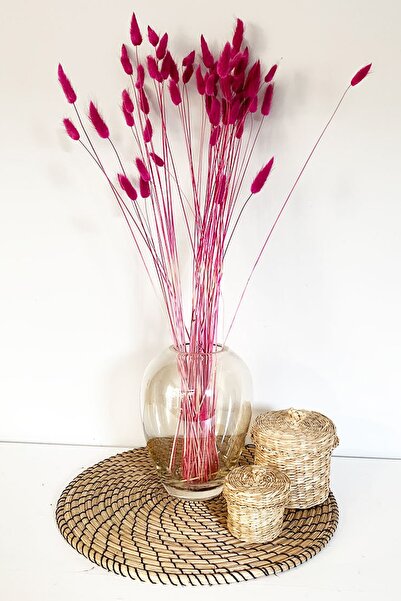 Goya Home Fuşya Renkli Kurutulmuş Pamuk Otu, Tavşan Kuyruğu Gelin Buketi Aran...