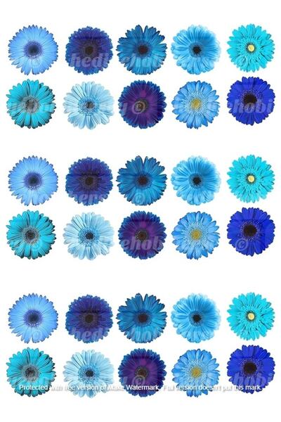 hediyehobihersey Mavi Çiçekler Yenilebilir Gıda Baskısı, Yenilebilir Pasta Süsü, Kurabiye Şekerli Kağıt