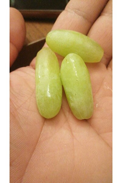 Üzüm 2li Paket S1 Beyaz Iri Taneli Aşılı Fidanı