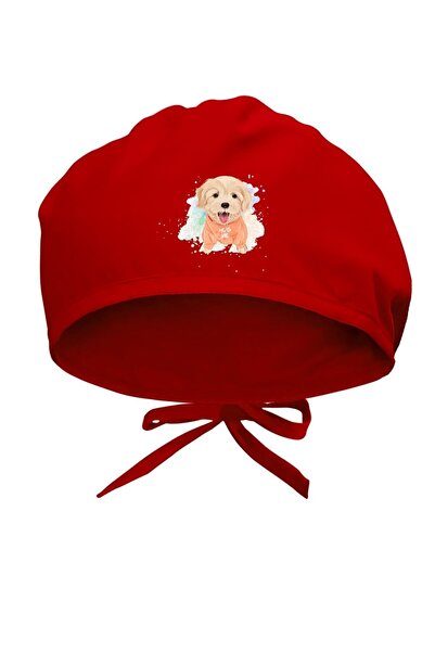 Tasarım Trend Bone chirurgical cu design drăguț de câine