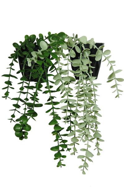 Lilac Home Yapay Çiçek 2'li Mini Okaliptus Seti