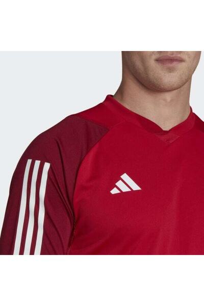 adidas Tiro23 C Jsy - Άνετα και κομψά παπούτσια τένις