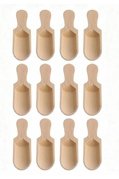 TEMMUZ HOME 12 Mini Shovel Spice Spoons