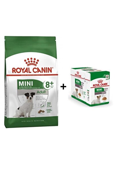 Royal Canin Mini Adult +8 Yaş Yaşlı Köpek Maması 2 Kg + 12 Adet Yaş Mama