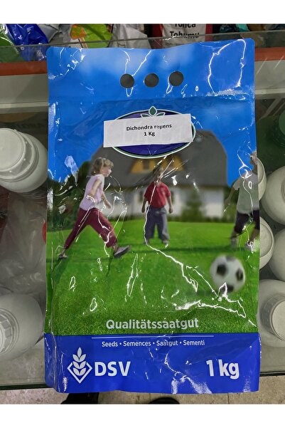 Genel Markalar Dsv Fare Kulağı Tohumu 1 Kg Fare Kulağı Çim Tohumu Kundura Çimi Gölge Çimi Dichondra Repens