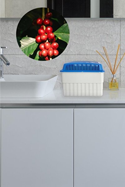 Saban 1 Kilogram Dikdörtgen, Kırmızı Meyve Kokulu - Nem Alıcı Aparat + Tablet