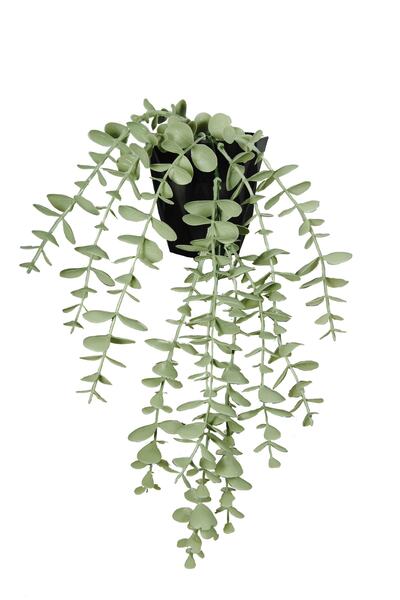 Lilac Home Yapay Çiçek 2'li Mini Okaliptus Seti