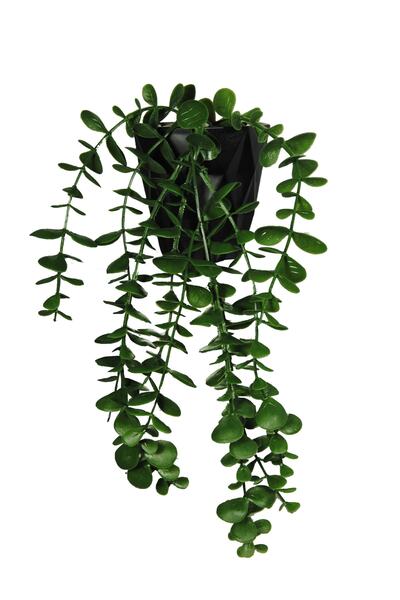 Lilac Home Yapay Çiçek 2'li Mini Okaliptus Seti