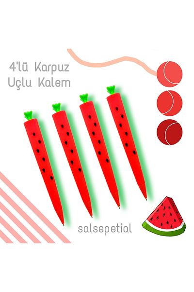 Salsepetial 4-Piece Watermelon 0.7 Tip Pen Set