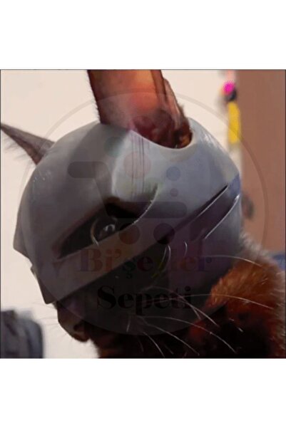 Bi'şeyler Sepeti ملحق خوذة واقية للقطط