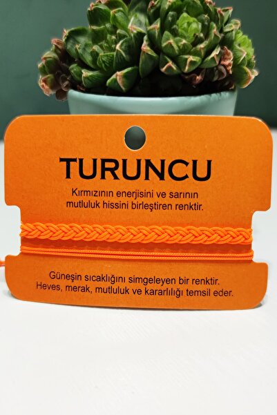 DM AKSESUAR Renklerin Anlamına Göre 2'li Unisex Ip Bileklikler