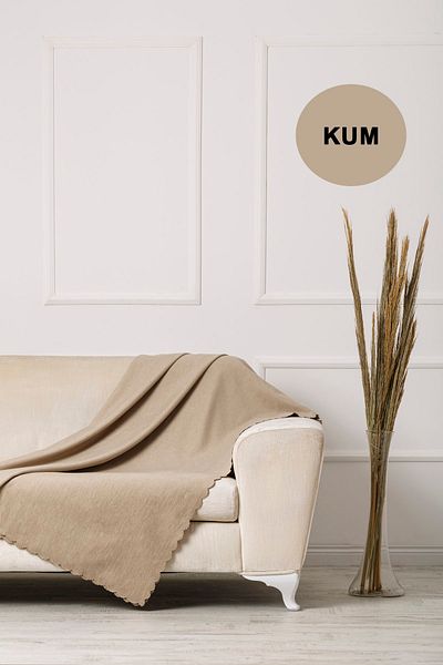 VELERDE HOME غطاء أريكة سرير مزدوج الجوانب من ساند تشينيل