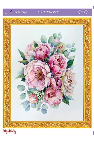 MyHobby Sulu Transfer Lnt05 25x35cm