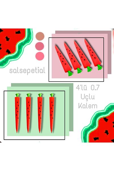 Salsepetial 4-Piece Watermelon 0.7 Tip Pen Set
