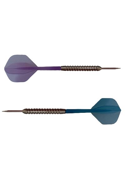 DARTSAN Set of 2 Neon Integrated Darts Shaft-shaft Wings SetBlue-purple