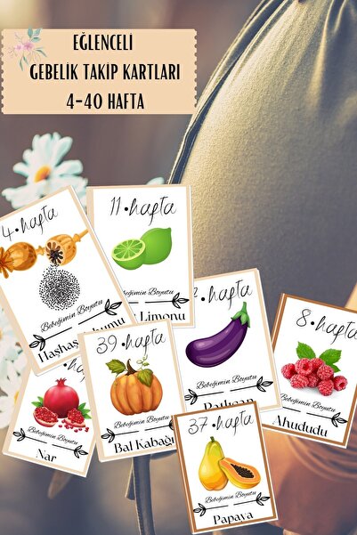 lilamtasarım Gebelik Takip Kartları 38 Adet Haftalık