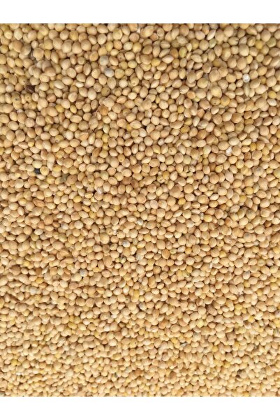 Genel Markalar Muhabbet Kuş Yemi Sade Ak Darı 1 Kğ